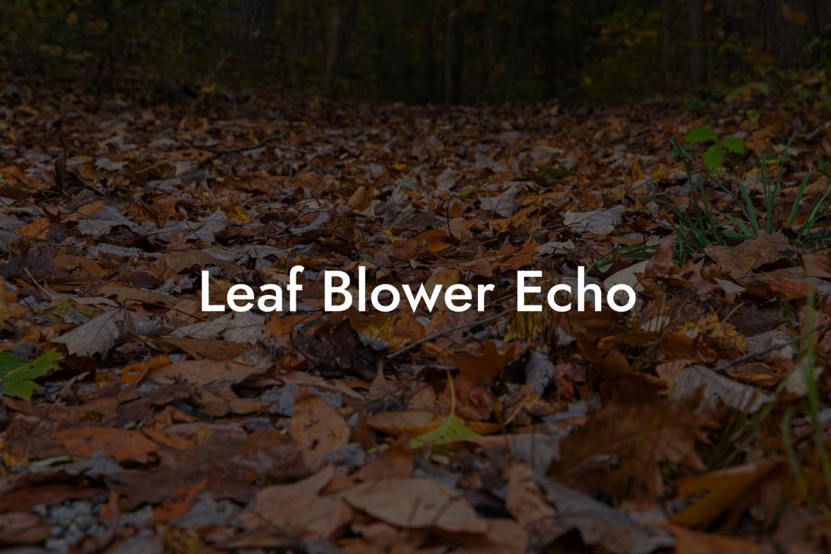 Leaf Blower Echo