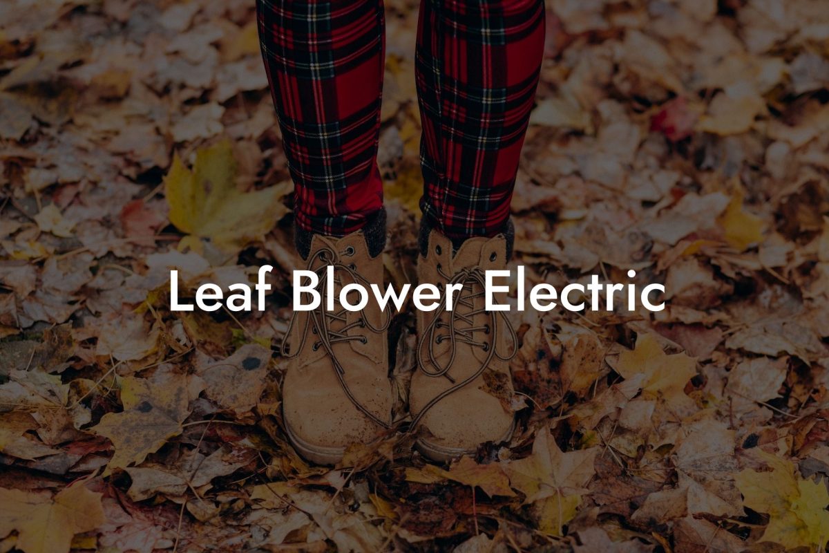 Leaf Blower Electric