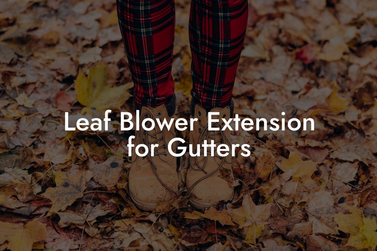 Leaf Blower Extension for Gutters