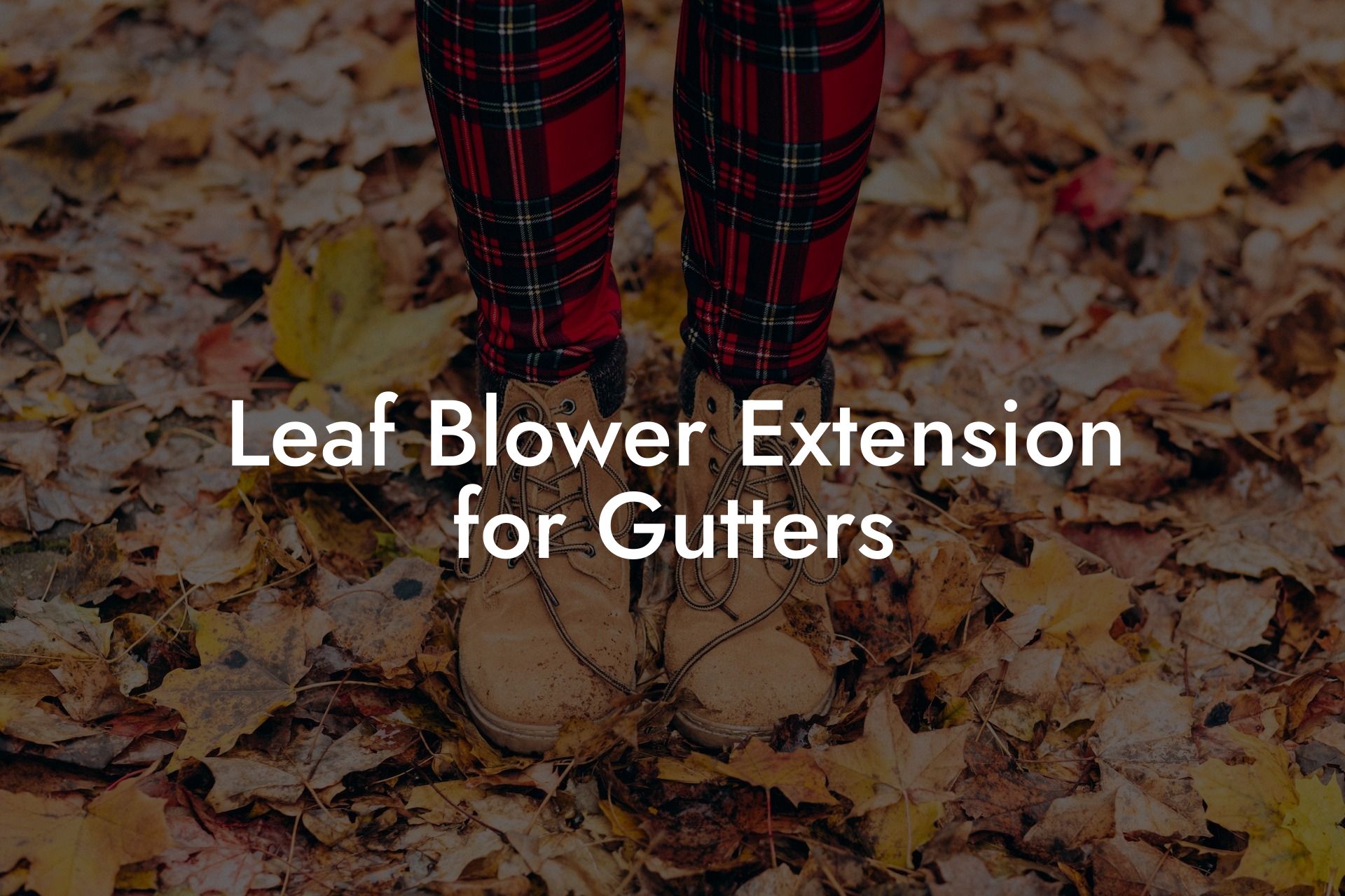 Leaf Blower Extension for Gutters