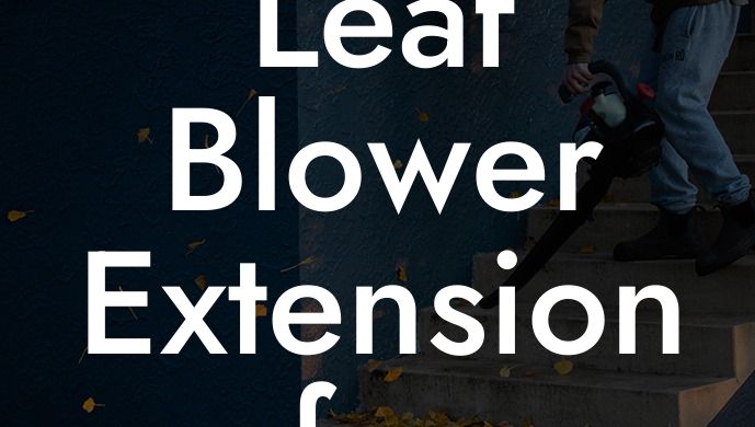 Leaf Blower Extension for Roof