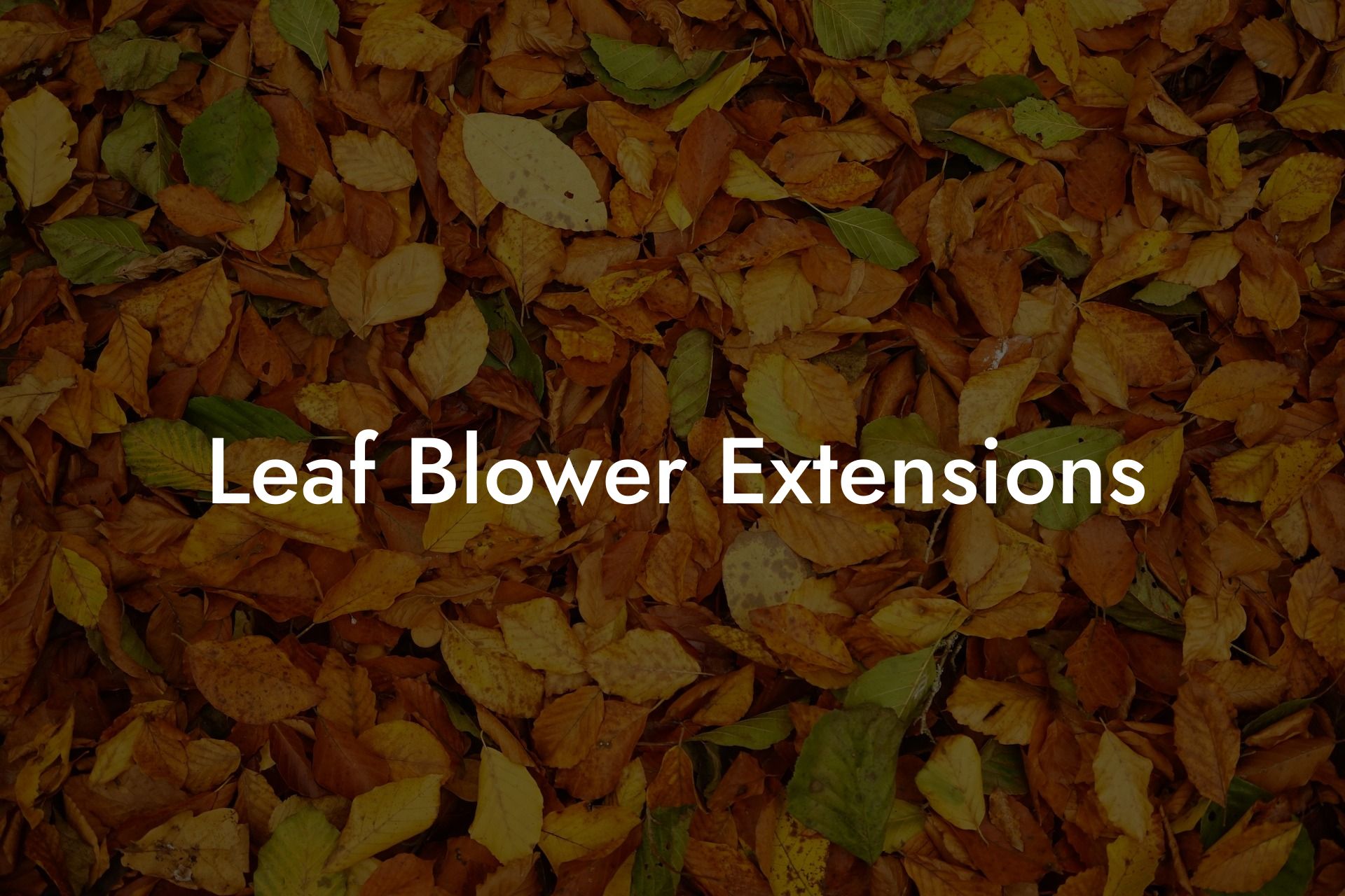 Leaf Blower Extensions