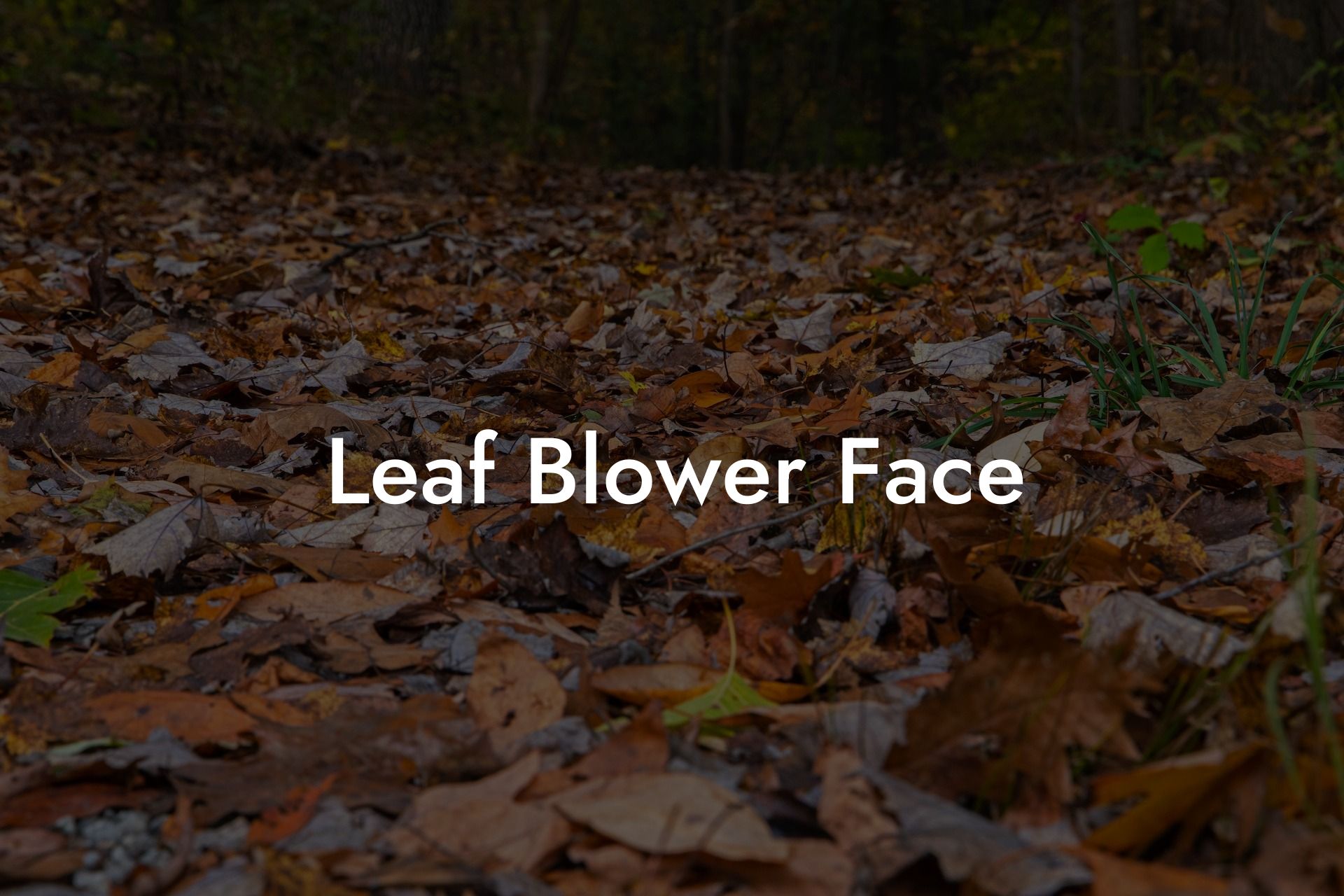 Leaf Blower Face