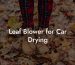 Leaf Blower for Car Drying