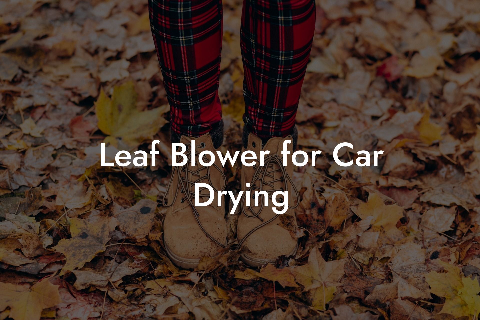 Leaf Blower for Car Drying