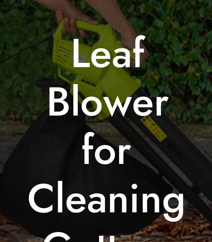 Leaf Blower for Cleaning Gutters