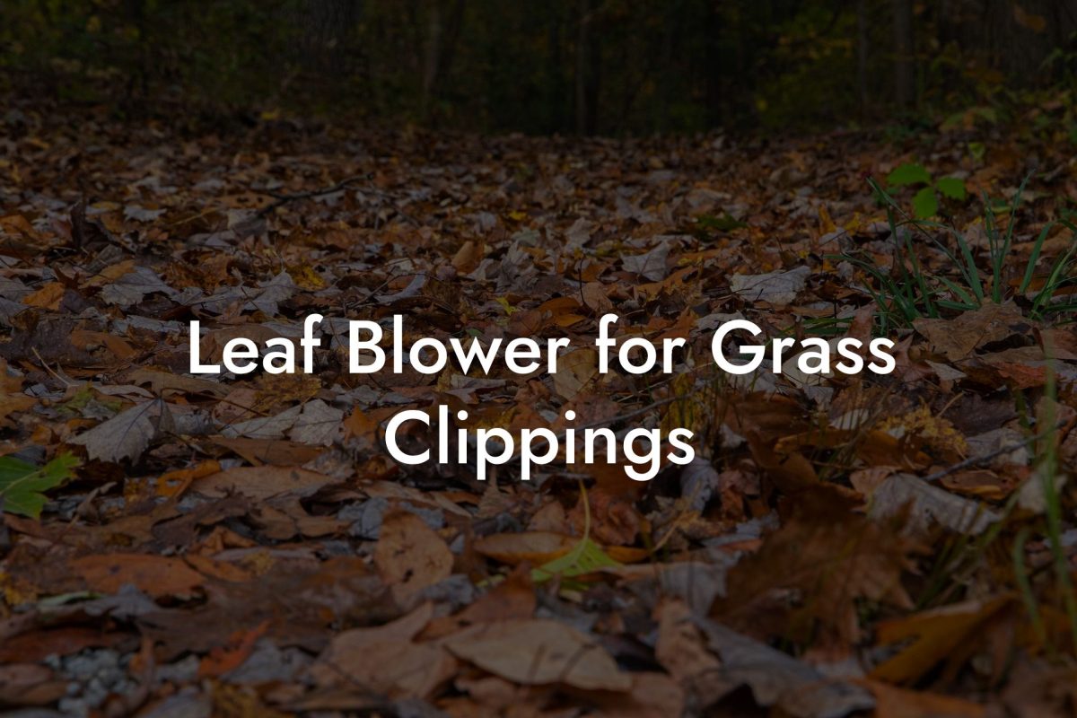 Leaf Blower for Grass Clippings