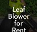 Leaf Blower for Rent