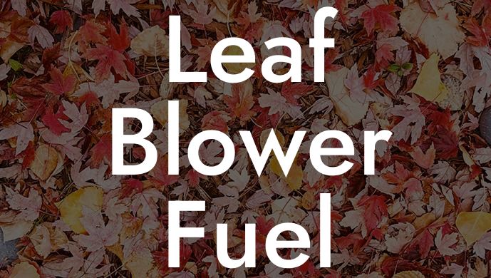 Leaf Blower Fuel Filter