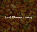 Leaf Blower Funny