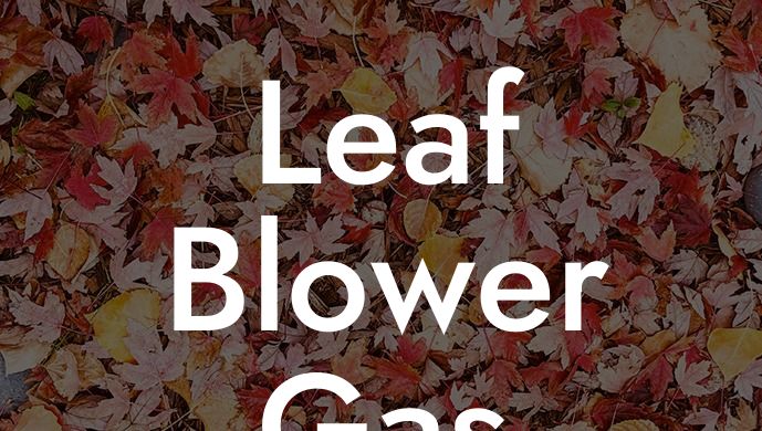 Leaf Blower Gas