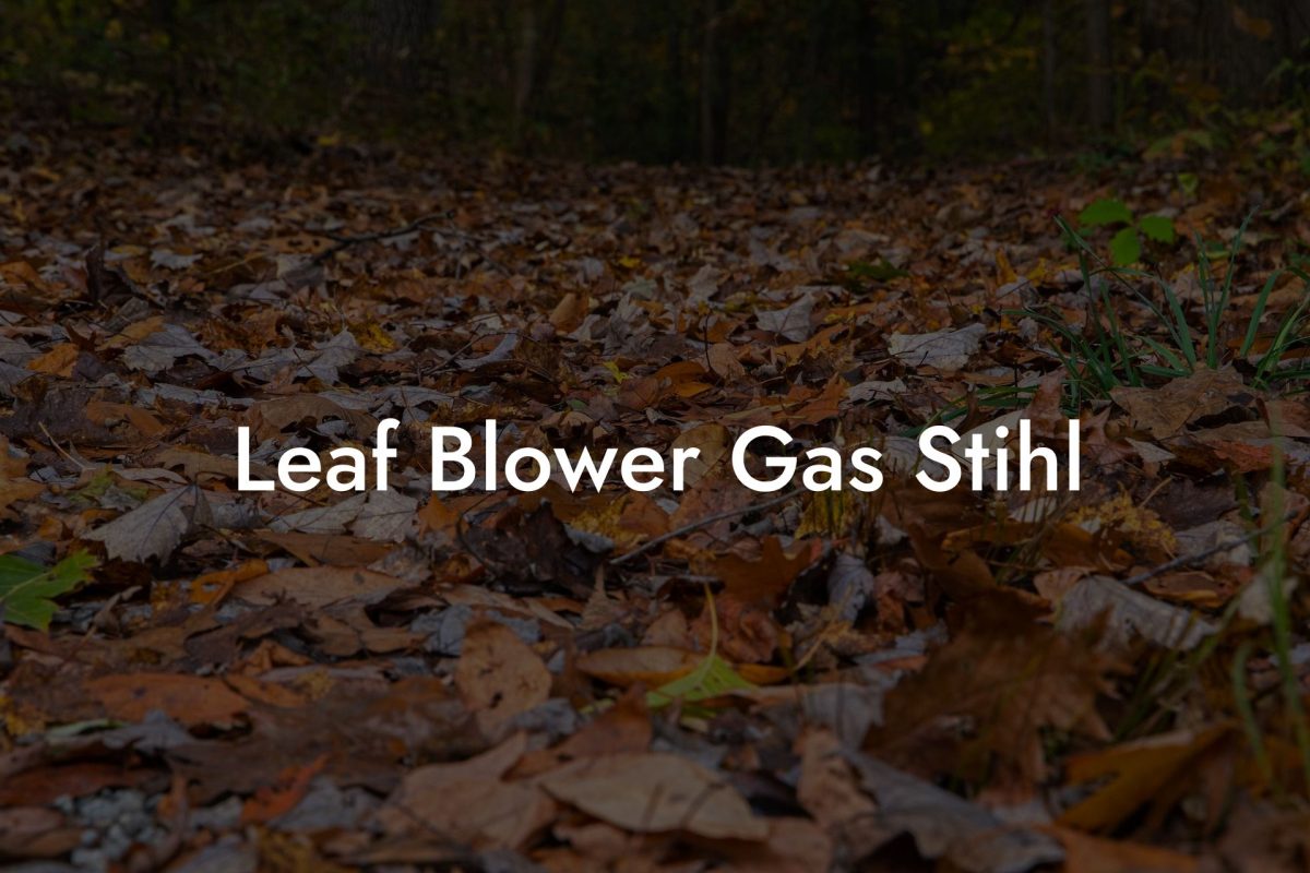 Leaf Blower Gas Stihl