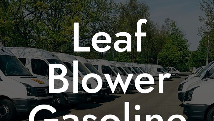 Leaf Blower Gasoline