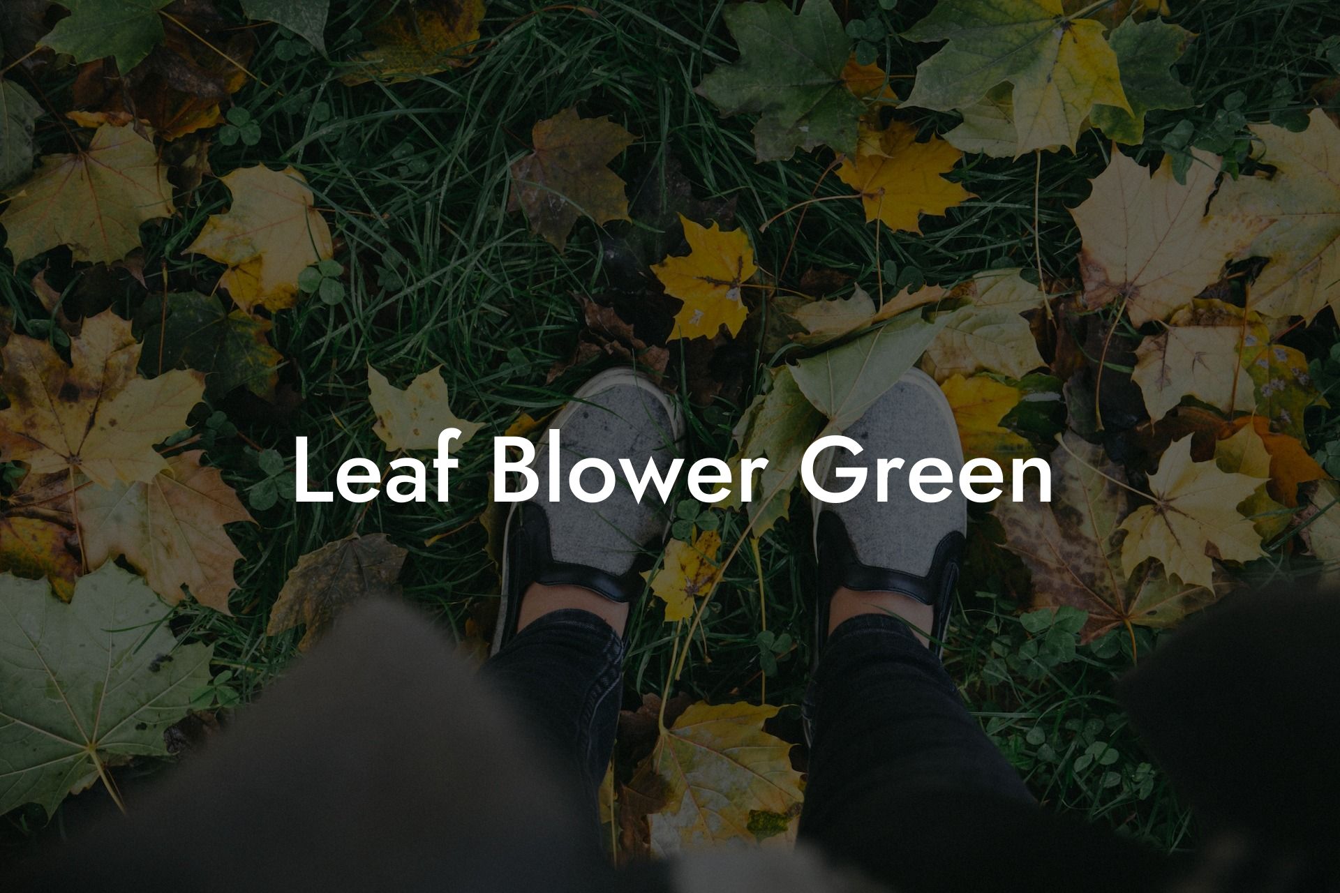 Leaf Blower Green