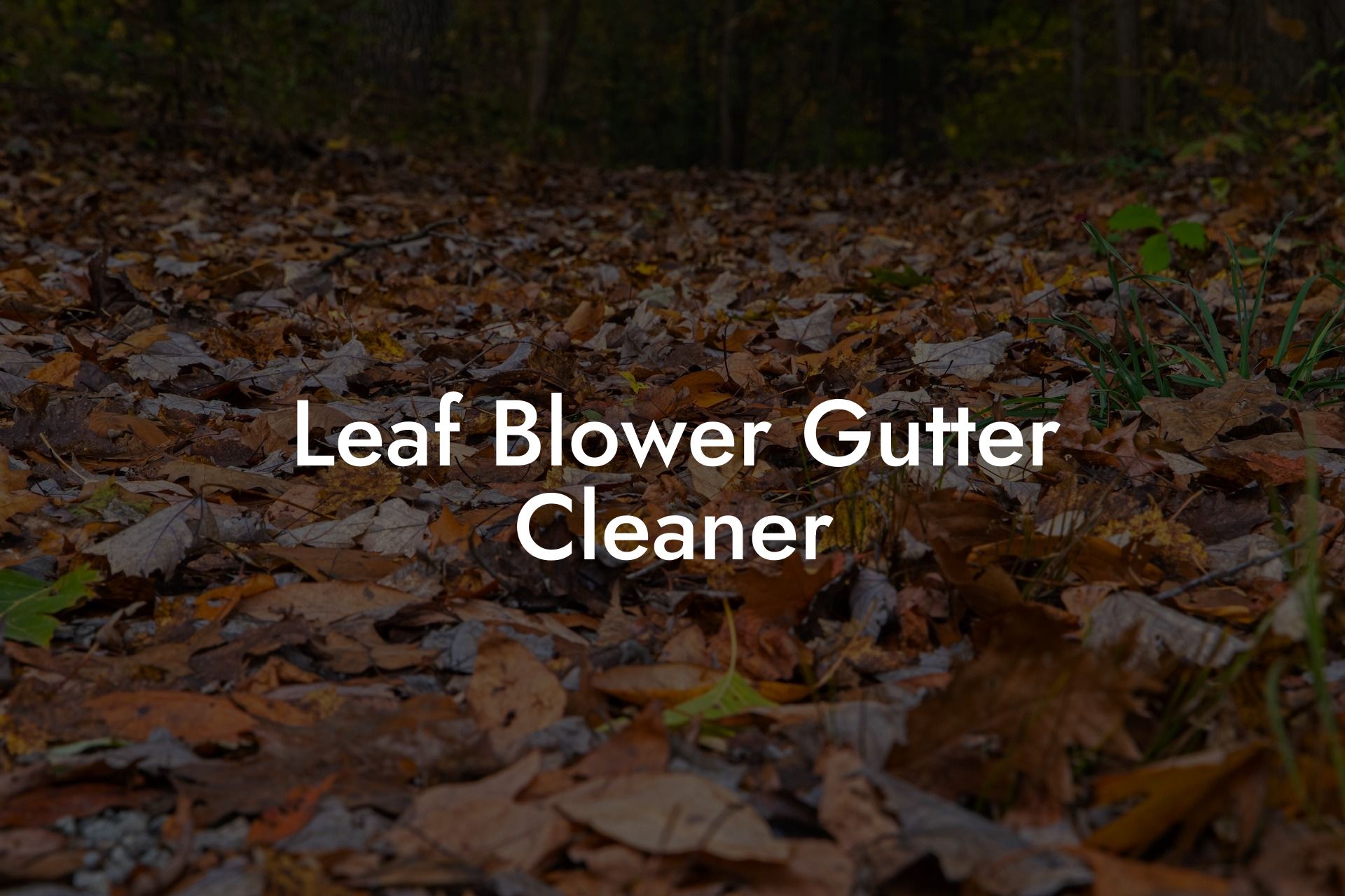 Leaf Blower Gutter Cleaner