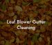 Leaf Blower Gutter Cleaning