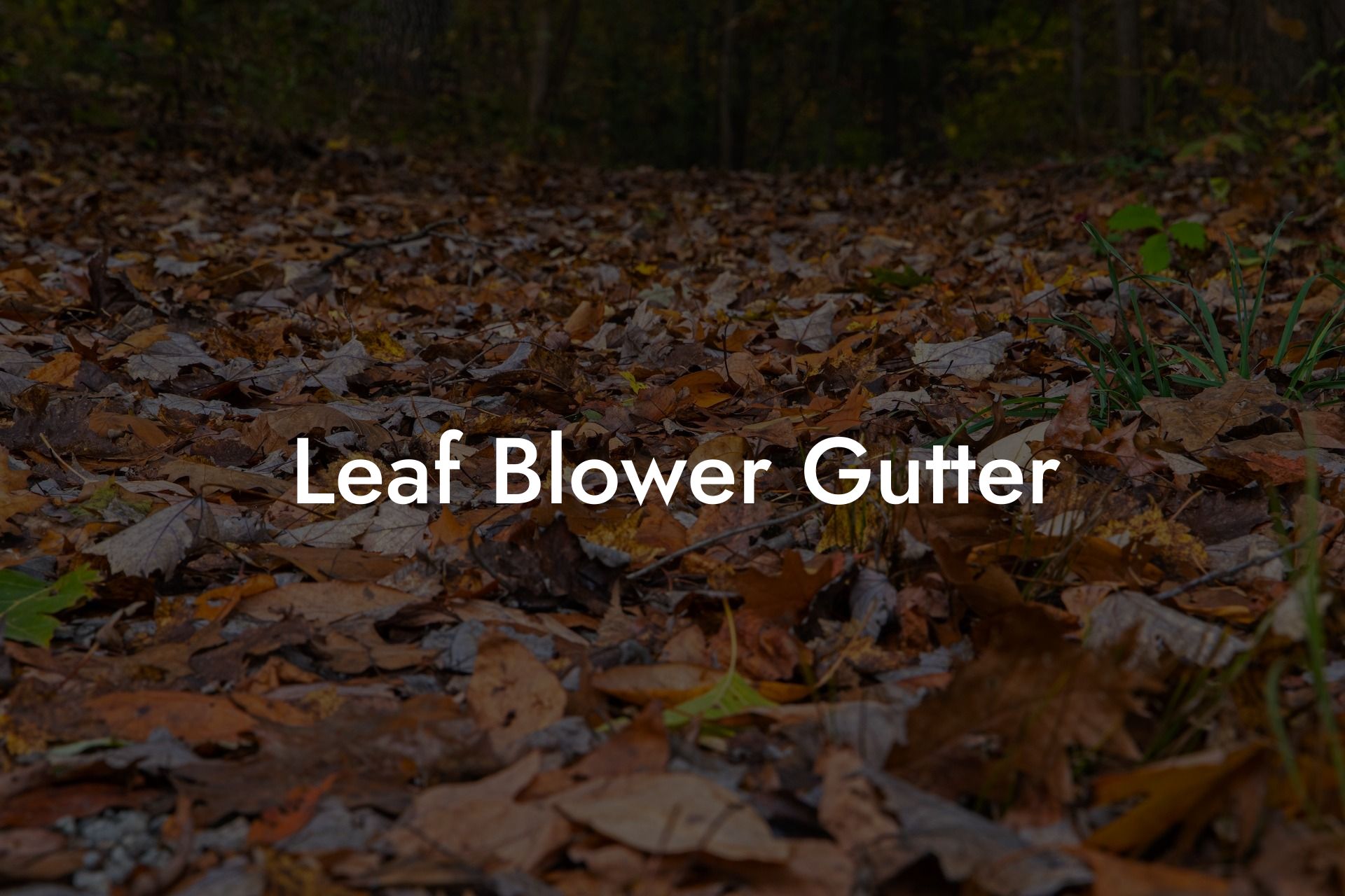 Leaf Blower Gutter