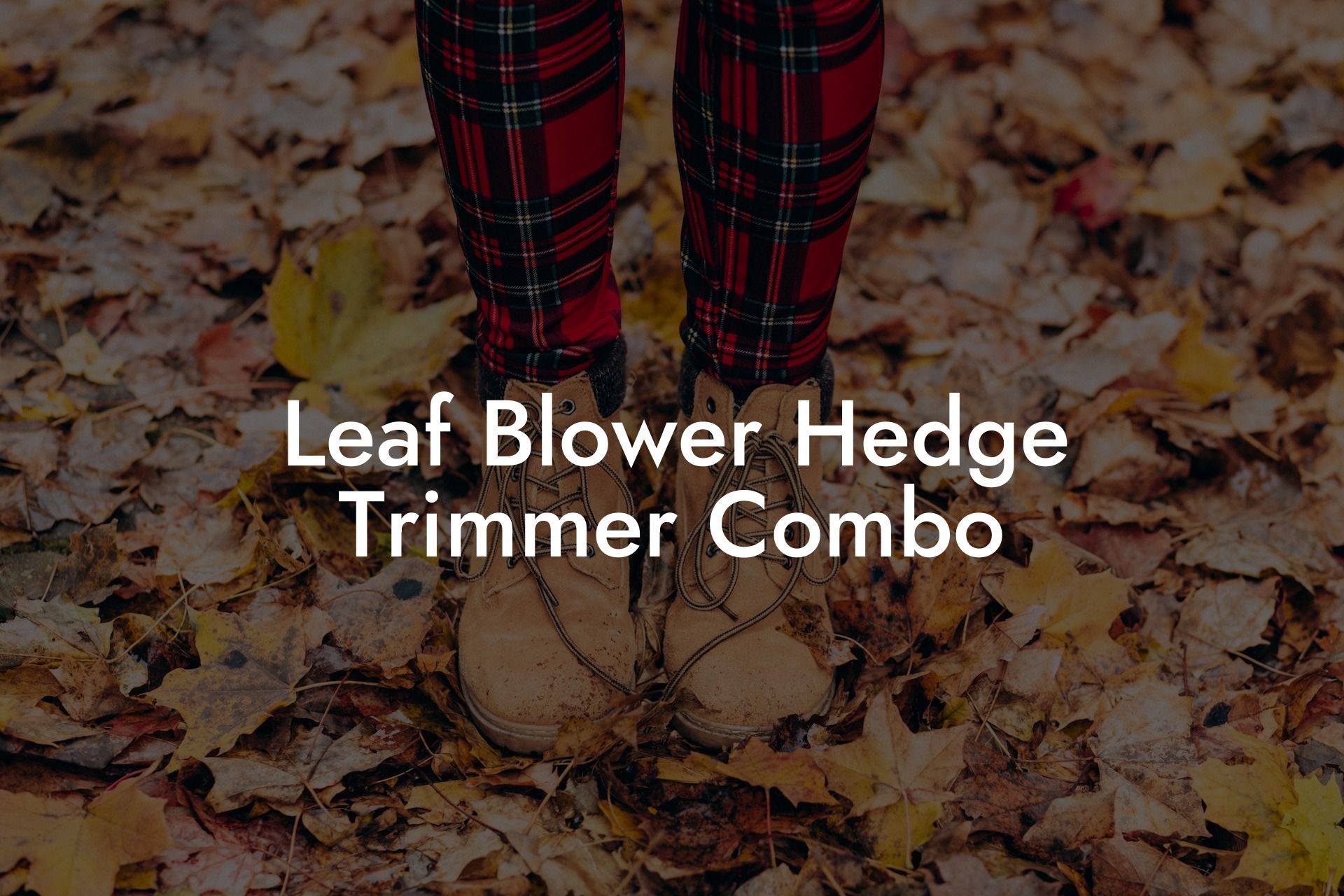 Leaf Blower Hedge Trimmer Combo