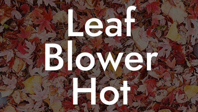 Leaf Blower Hot Box