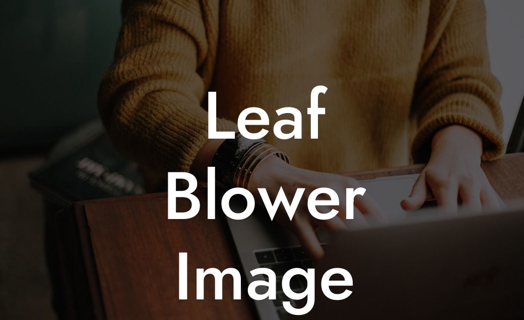 Leaf Blower Image