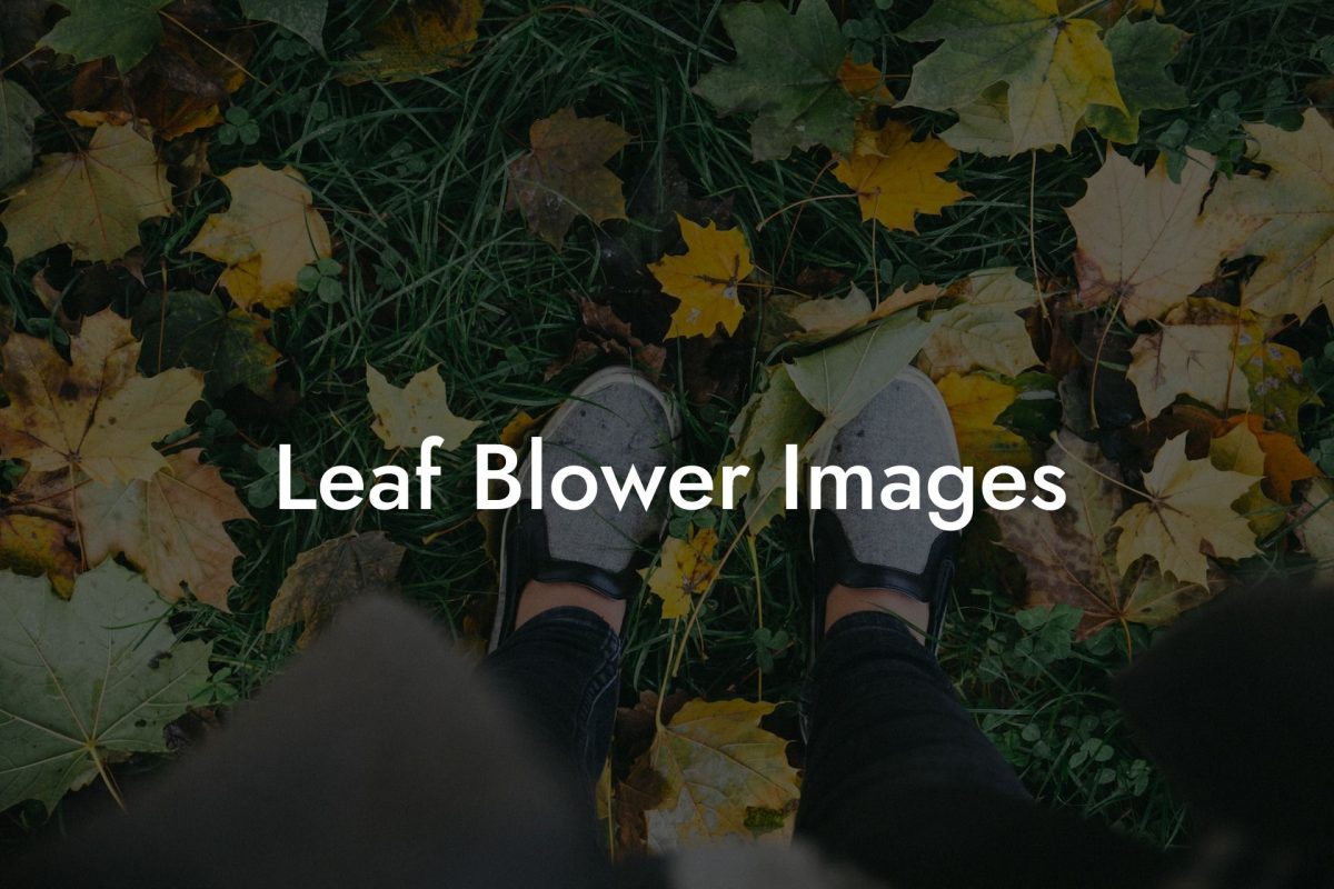 Leaf Blower Images