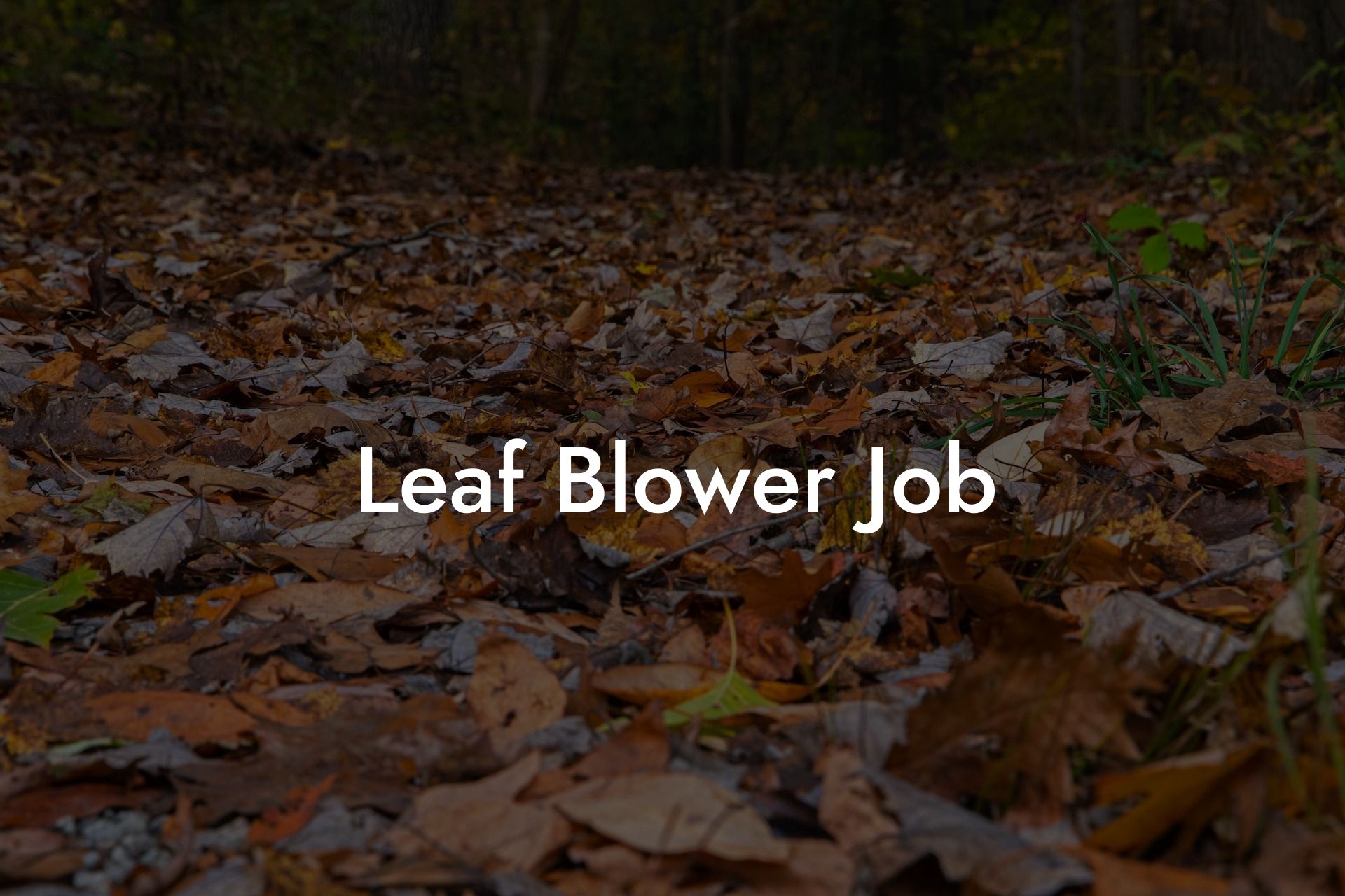 Leaf Blower Job