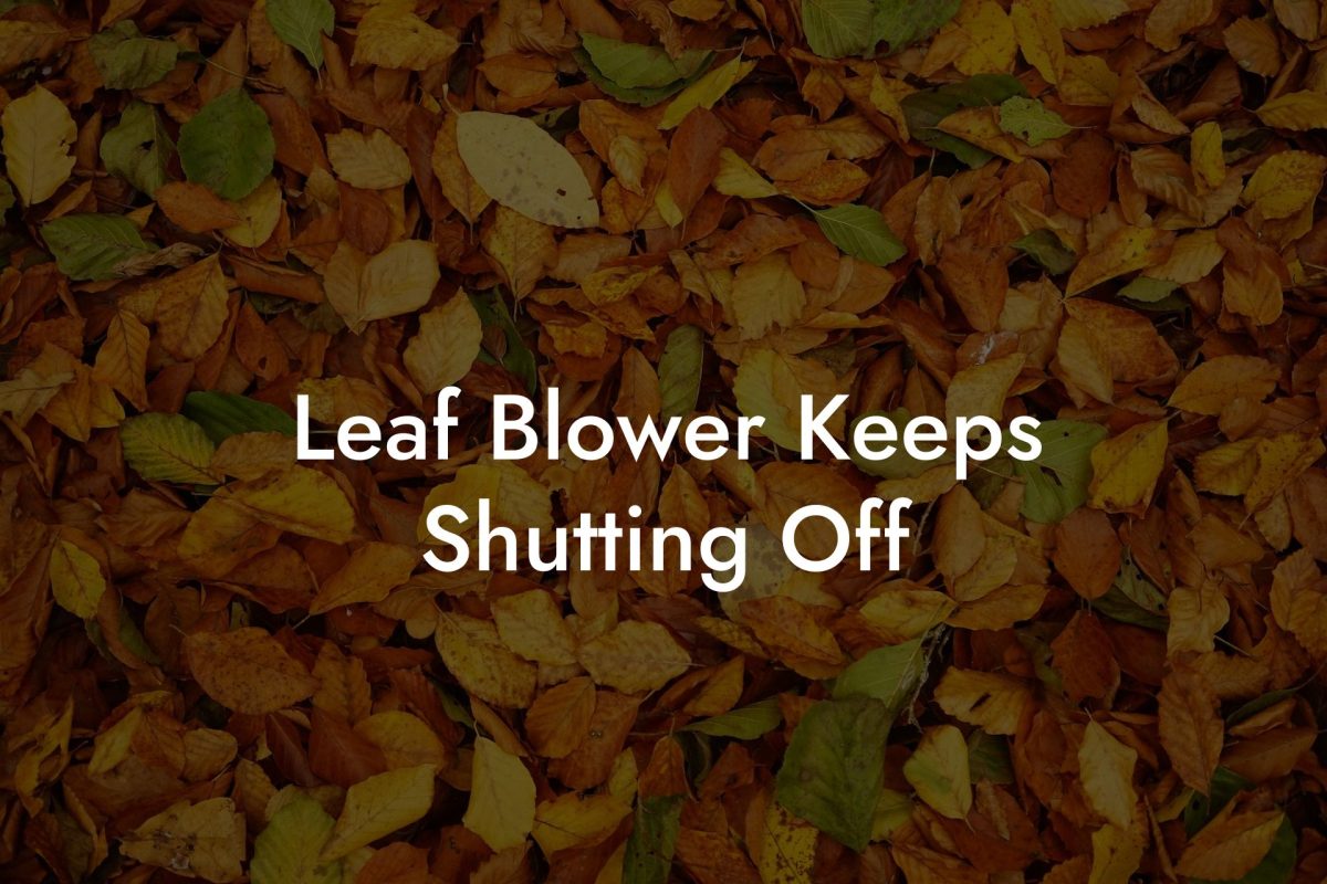 Leaf Blower Keeps Shutting Off