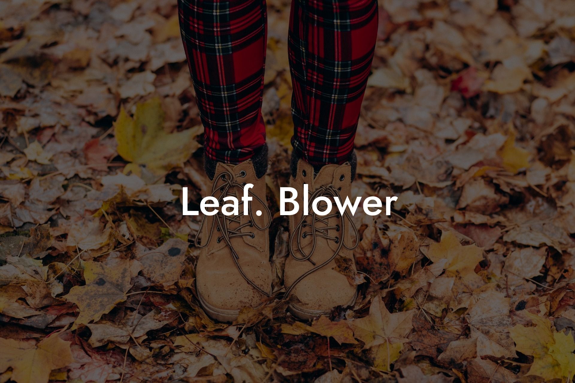 Leaf Blower.