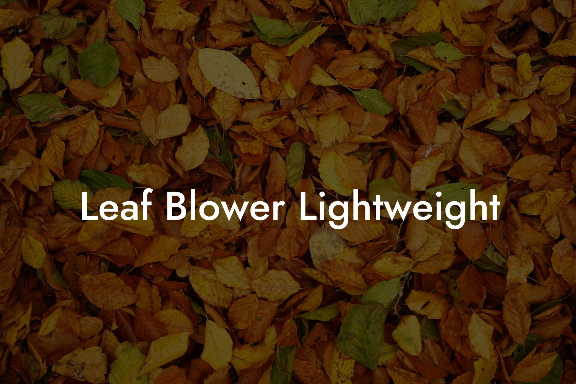 Leaf Blower Lightweight