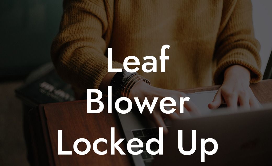 Leaf Blower Locked Up