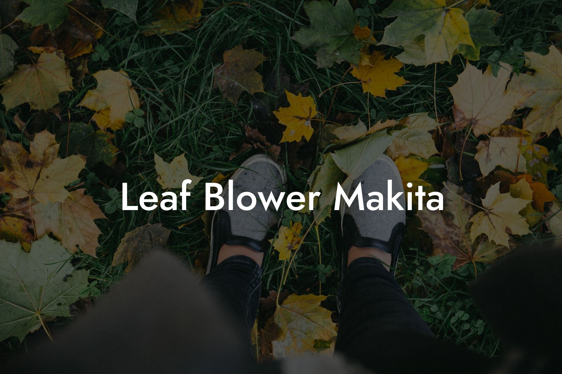 Leaf Blower Makita