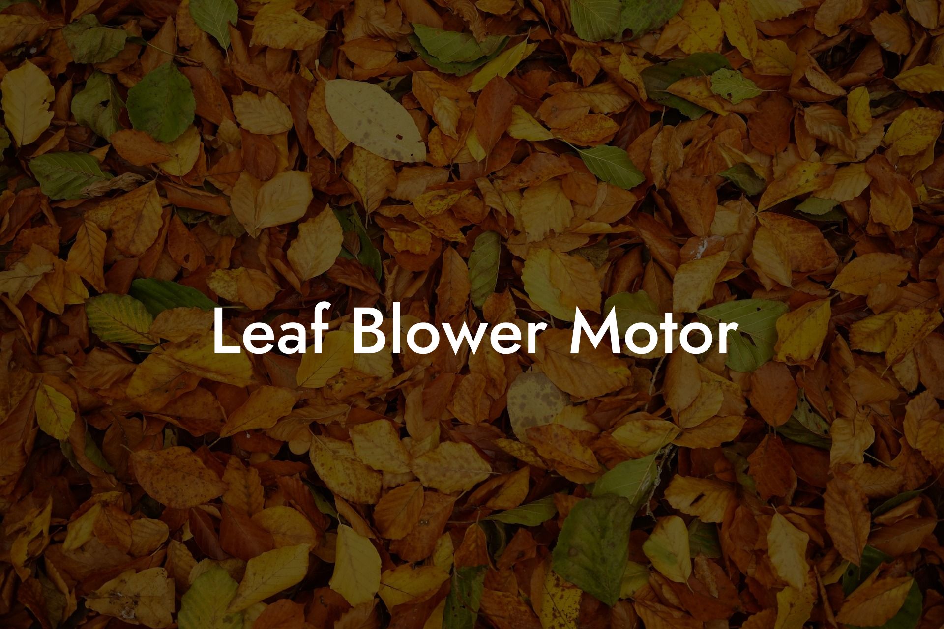 Leaf Blower Motor