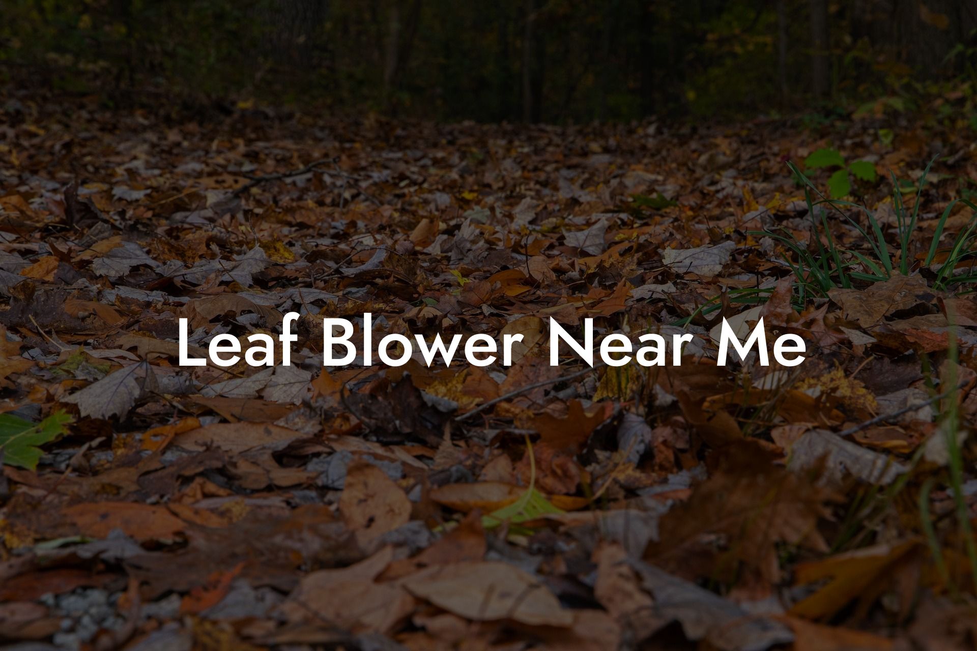 Leaf Blower Near Me