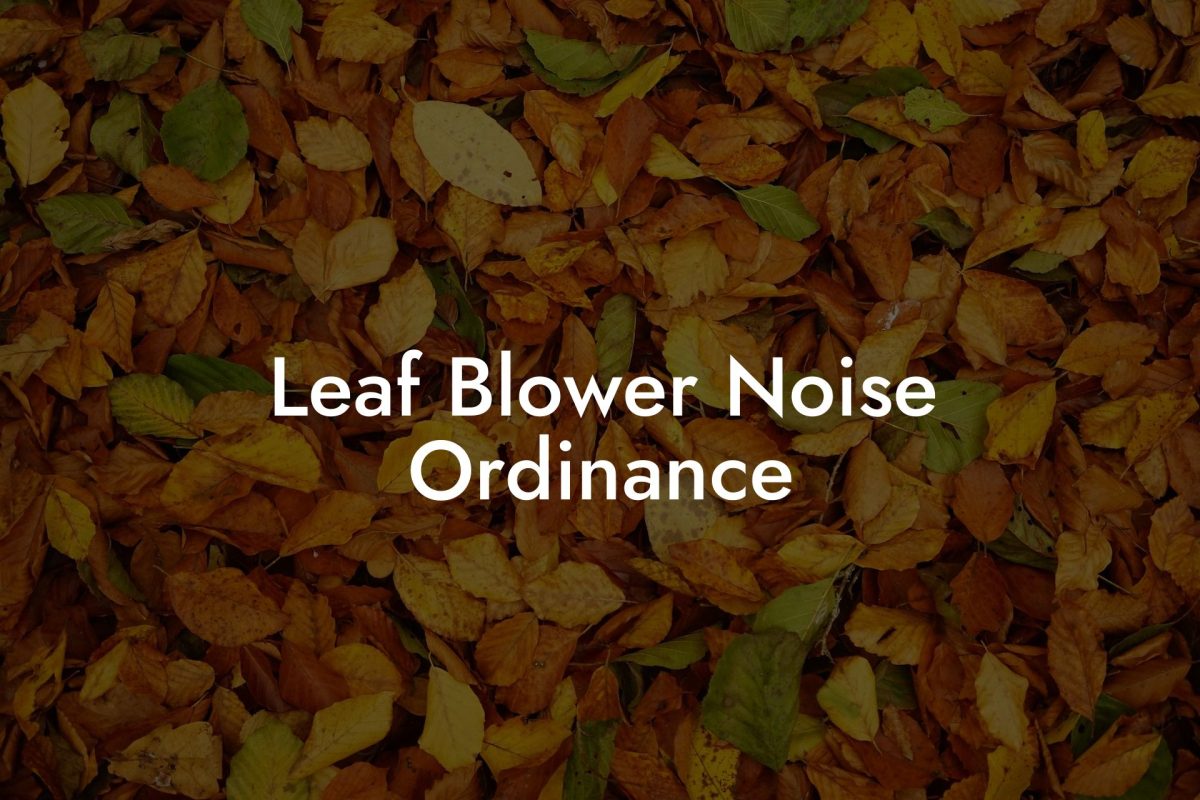 Leaf Blower Noise Ordinance