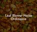 Leaf Blower Noise Ordinance