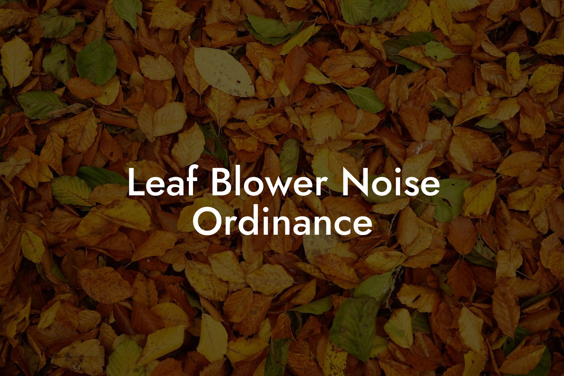 Leaf Blower Noise Ordinance