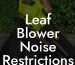 Leaf Blower Noise Restrictions