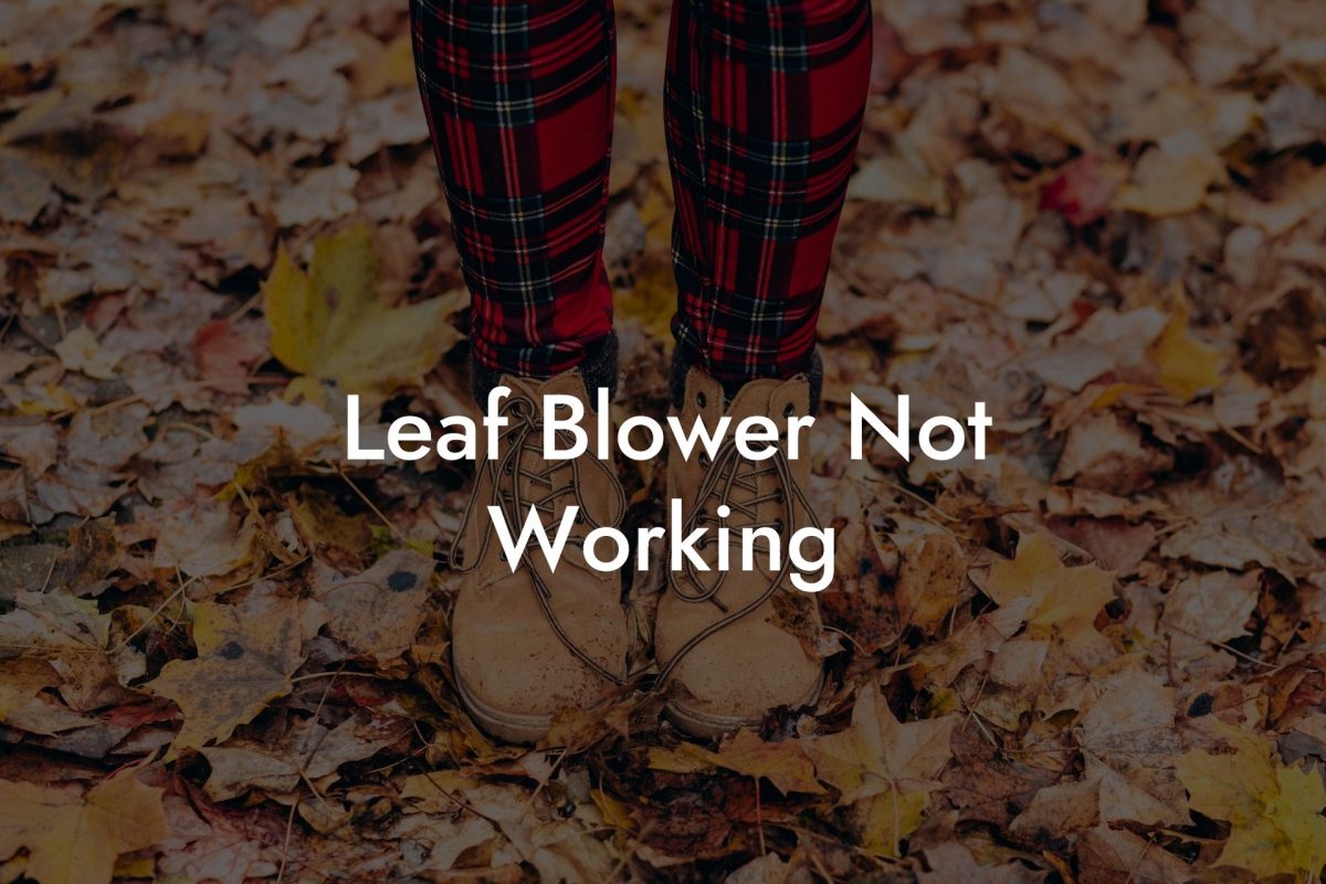 Leaf Blower Not Working