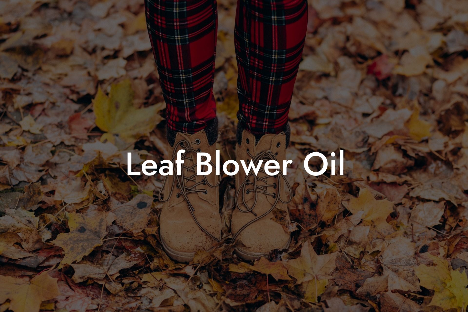 Leaf Blower Oil