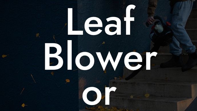 Leaf Blower or Vacuum