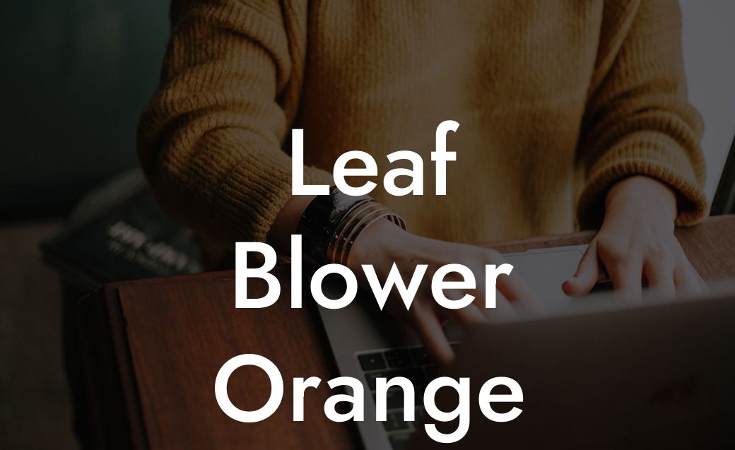 Leaf Blower Orange