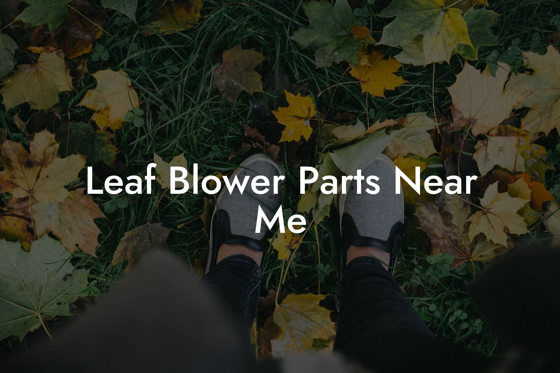 Leaf Blower Parts Near Me