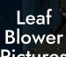 Leaf Blower Pictures