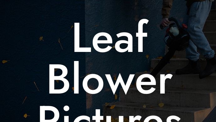 Leaf Blower Pictures