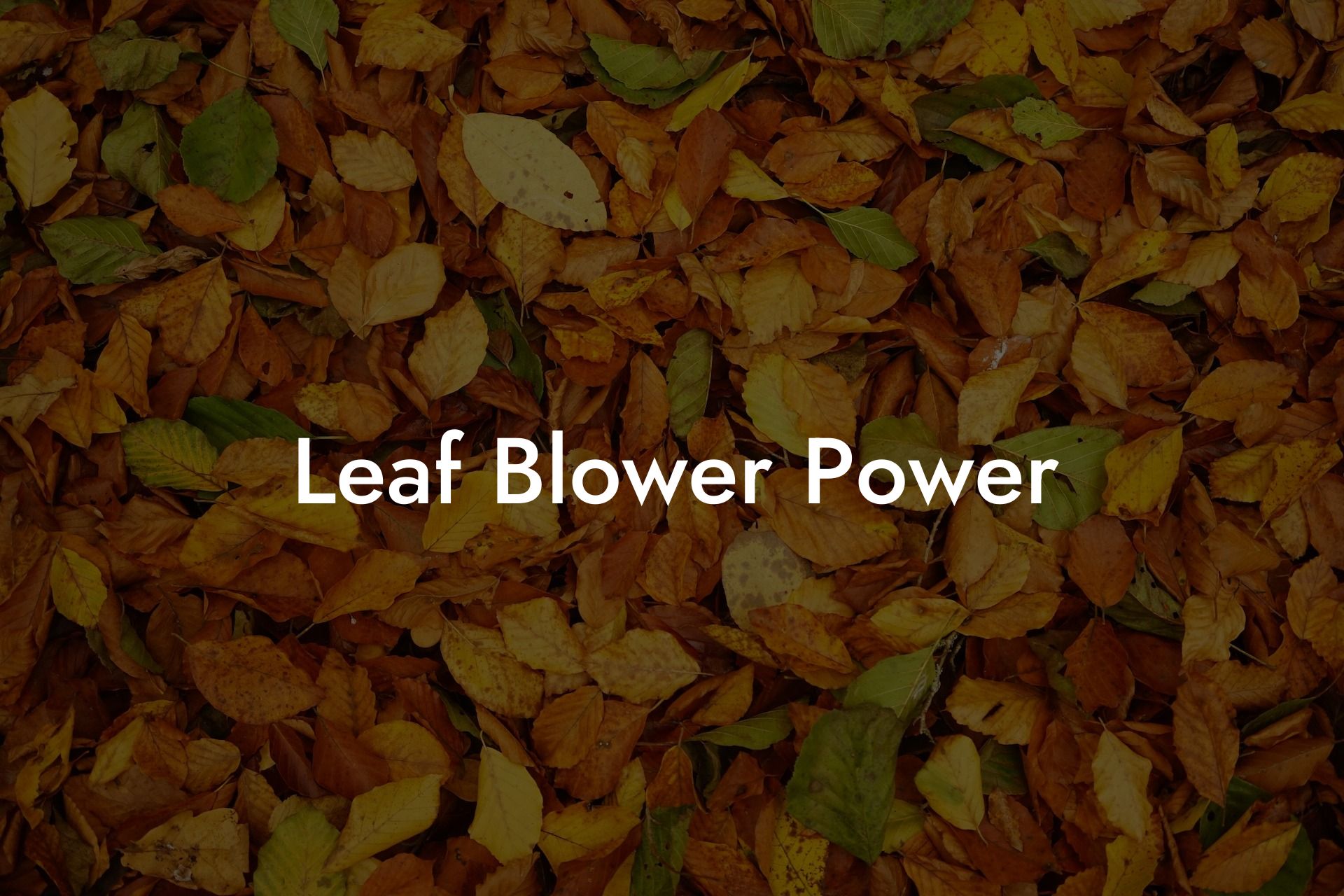 Leaf Blower Power