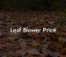 Leaf Blower Price