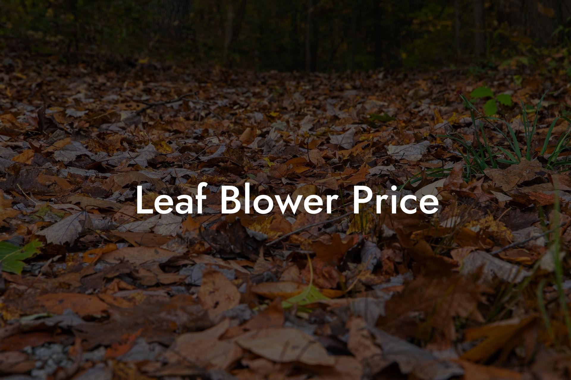 Leaf Blower Price