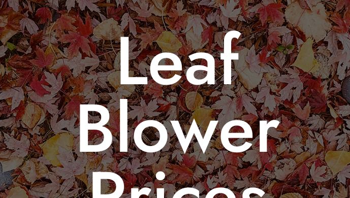 Leaf Blower Prices