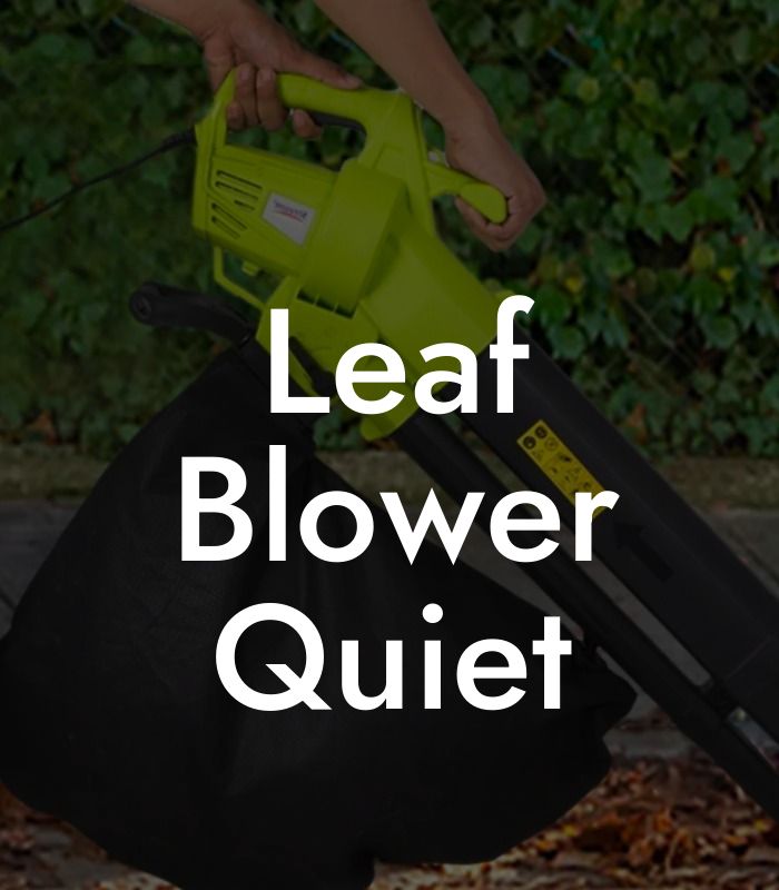 Leaf Blower Quiet