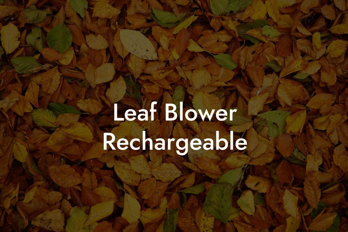 Leaf Blower Rechargeable